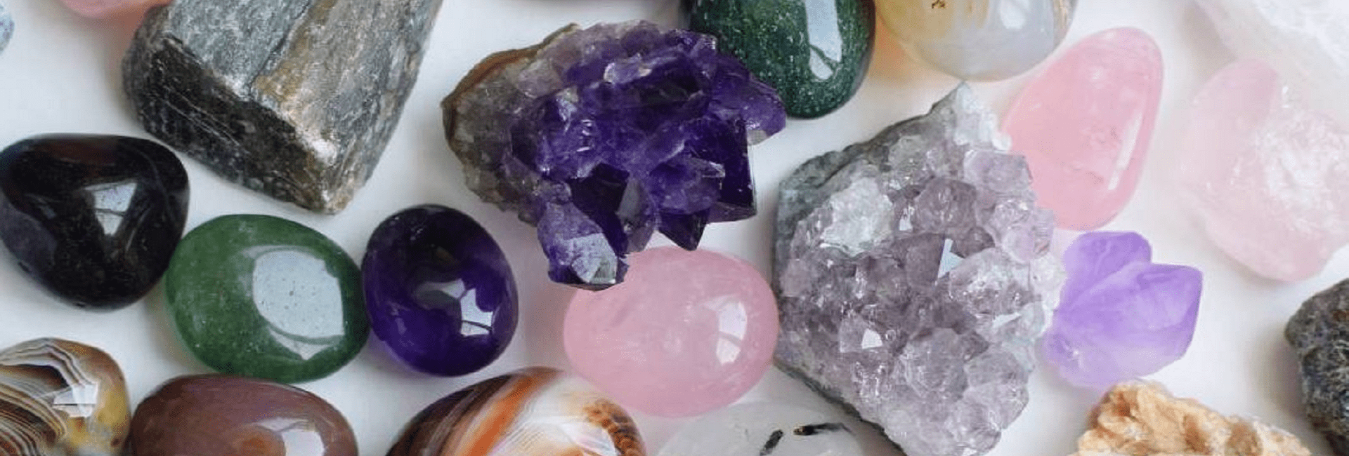 Chronicles of Curiosity: Unveiling Hidden Gems